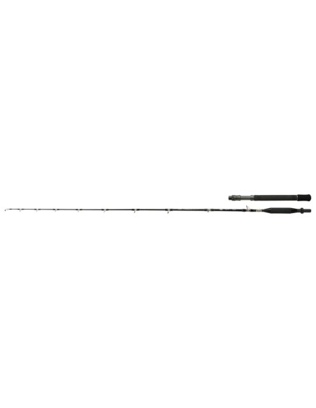 Shimano Tyrnos B Trolling  6 Lb
