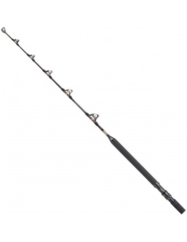 Shimano Tyrnos A 50 LB Shimano Tyrnos A 50 LB