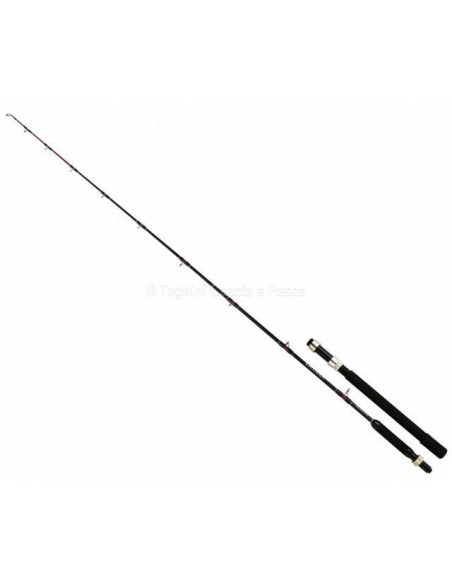 Shimano Catana Dx Trolling Lite 12