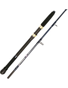 Penn Waveblaster Evo  200-400 Gr