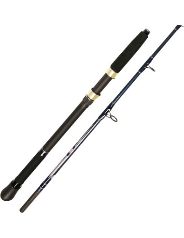Penn Waveblaster Evo 200-400 Gr Penn Waveblaster Evo 200-400 Gr