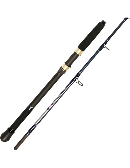 Penn Waveblaster Evo  200-400 Gr