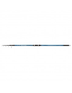 Shimano Alivio FX Surf Tele 4,20m 170g