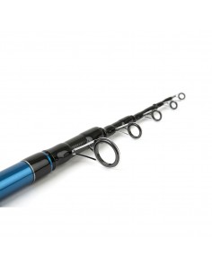 Shimano Alivio FX Surf Tele 4,20m 170g