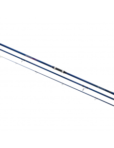 Shimano Nexave Beach 4,50 mt 60-100 gr