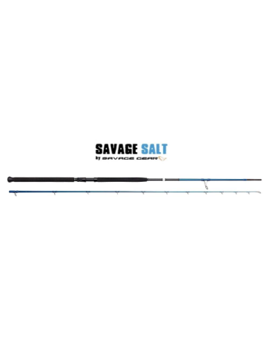 Savage Gear SGS2  10' 305 Cm Moderate...