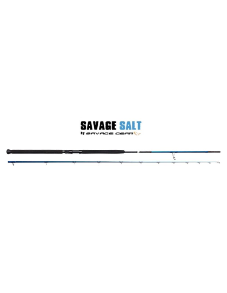 Savage Gear SGS2  10' 305 Cm Moderate Fast PE 2.0-4.0