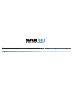 Savage Gear SGS2  10' 305 Cm  Moderate Fast  PE 2.5 - 5