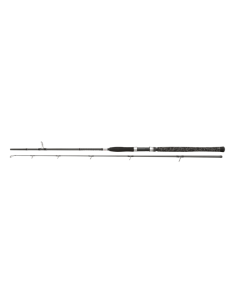 Penn Legion Cat Silver Series  240Cm  40-160Gr