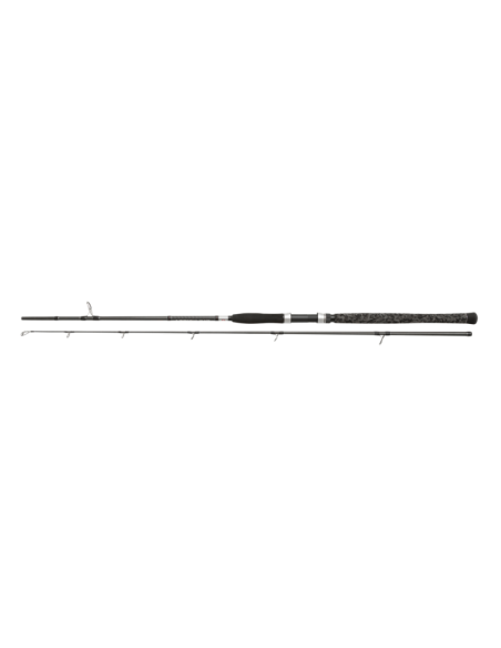 Penn Legion Cat Silver Series  240Cm  40-160Gr