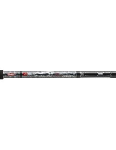 Berkley Tec cat Pro 280Cm  100-250Gr
