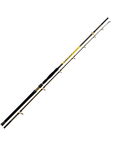 Berkley Tec Cat  200Cm  100-250Gr