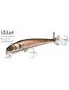 Molix Pjb 14Gr