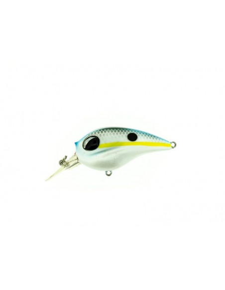 MOLIX SB CRANK 55