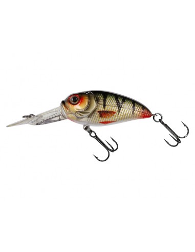 MOLIX SCULPO DR MOLIX SCULPO DR