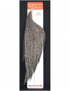 Whiting Farms pro grade 1/2 collo (grizzly)