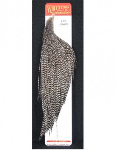 Whiting Farms pro grade 1/2 collo (grizzly) Whiting Farms pro grade 1/2 collo (grizzly)