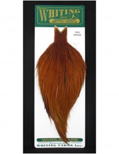 Whiting Farms Hebert Miner pro grade collo intero (medium brown)