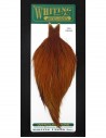 Whiting Farms Hebert Miner pro grade collo intero (medium brown)